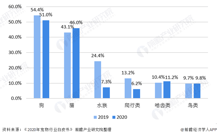 宠物食品行业现状的优缺点分析