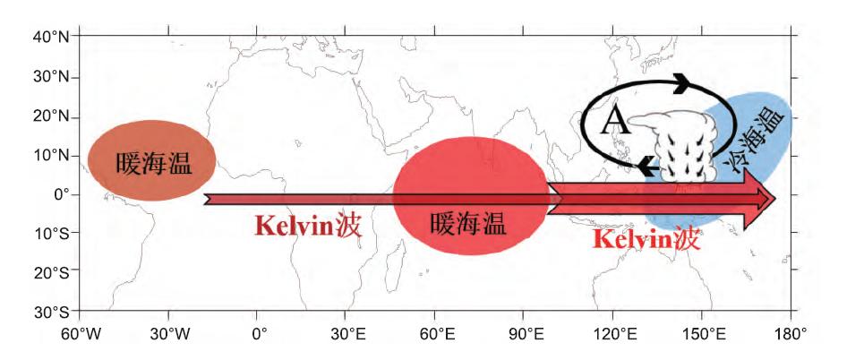 吹膜机与护色剂和护色助剂的作用机理是否一致，深入分析与探讨